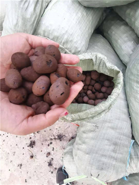 淮南陶粒的特点