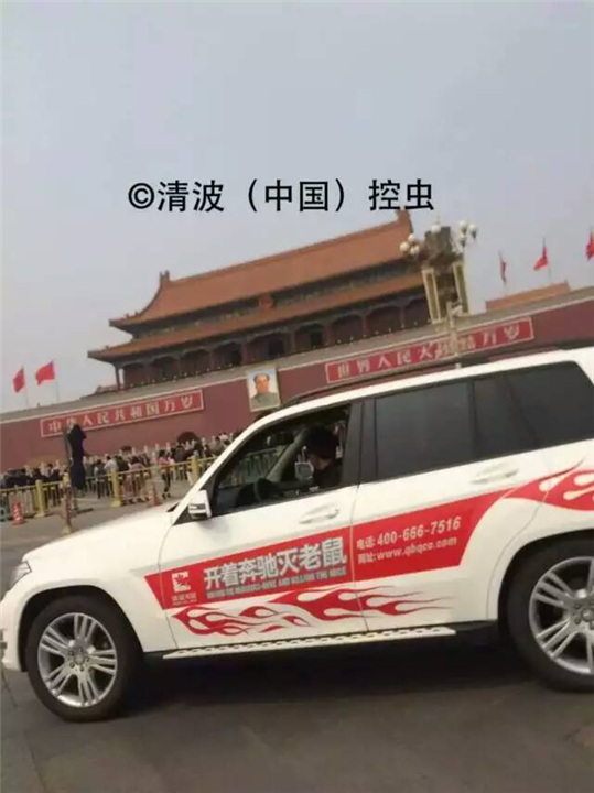 青岛灭鼠公司，灭老鼠公司