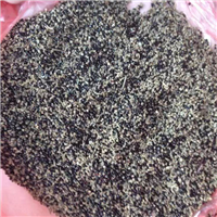 碱蓬种子