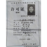 **驯养繁殖许可证 