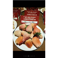 浙江草莓批发
