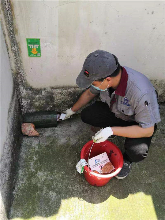 周口扶沟宾馆灭鼠灭蟑螂哪家好
