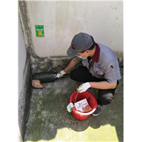 周口扶沟宾馆灭鼠灭蟑螂哪家好