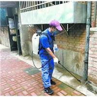 周口鹿邑餐厅除四害哪家服务好