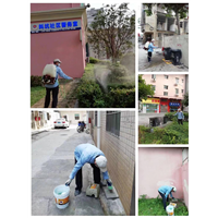 周口项城美容院除四害怎么收费