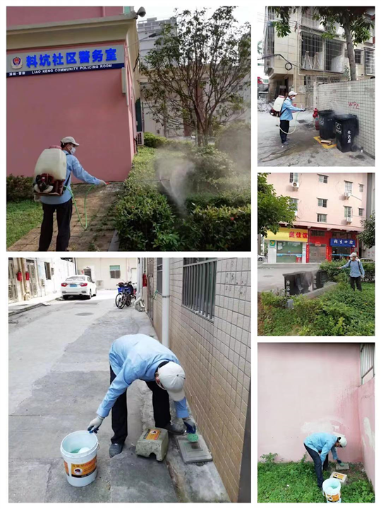 周口项城美容院除四害怎么收费