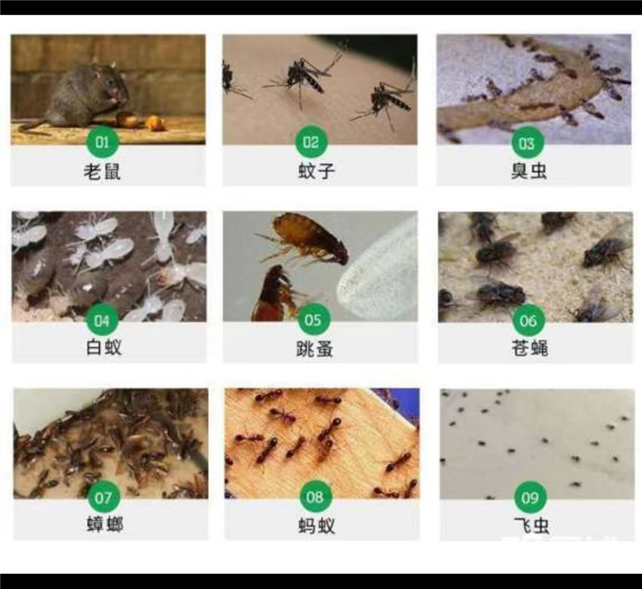 周口西华宾馆除四害怎么收费