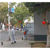 攸县灭鼠公司常用方法与注意事项