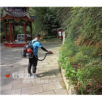 攸县灭白蚁公司白蚁预防知识
