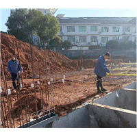 南京白蚁防治公司电话