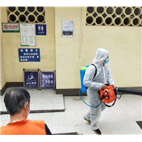 攸县灭蟑螂电话 后厨灭蟑方法