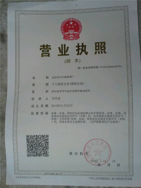 营业执照副本 