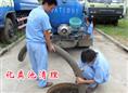 济南全市抽化粪池 承包化粪池清理 疏通下水道13583194266 