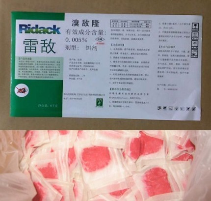 漳州白蚁消杀$% 