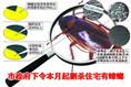 漳州灭鼠公司$% 