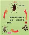 漳州杀虫公司&漳州除虫公司电话 