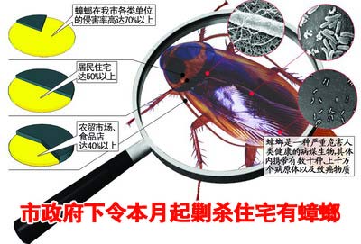 漳州灭鼠公司$% 