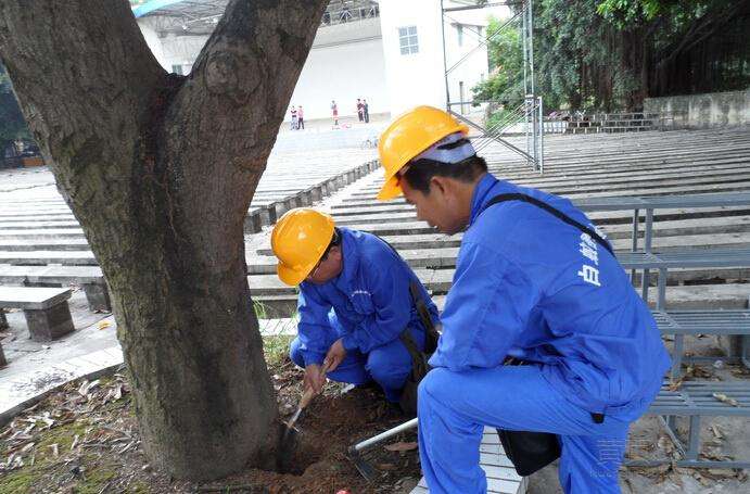 漳州灭鼠公司$%漳州灭鼠公司号码 