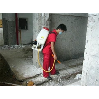 漳州灭鼠公司& 