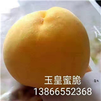 玉皇蜜脆