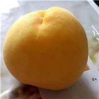 玉皇蜜脆