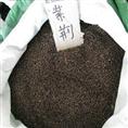 江苏花木种子-紫荆花种子