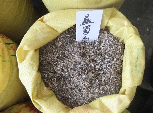 江苏花木种子-蓝蜀菊种子