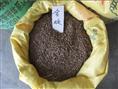 出售江苏花木种子-合欢种子