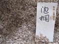 供应江苏花木种子-泡桐种子
