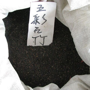 供应江苏花木种子-五彩石竹种子