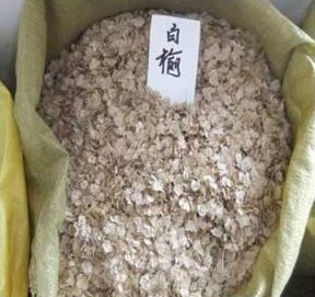 白榆种子 