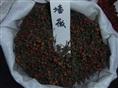 江苏花木种子-蔷薇种子