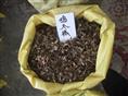 江苏花木种子-鸡爪槭种子
