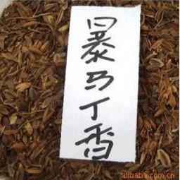 暴马丁香种子 