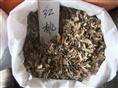 江苏花木种子-红枫种子