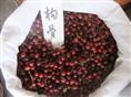 出售江苏花木种子-枸骨种子