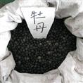 供应江苏花木种子-牡丹种子