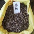 出售江苏花木种子-枫杨种子