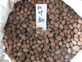江苏花木种子-红叶桃种子