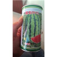 西瓜种子 