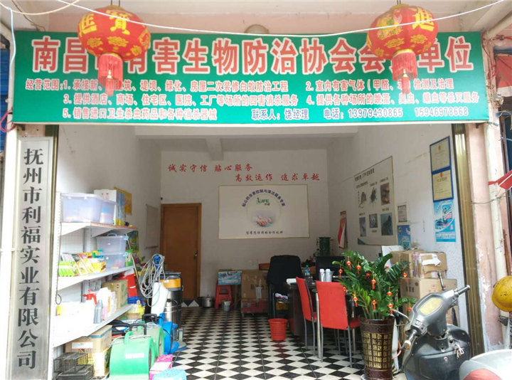 家庭灭白蚁 