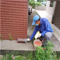 抚州灭鼠有什么方法