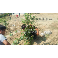 售后实拍