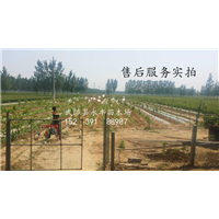 售后实拍