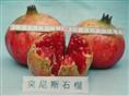 突尼斯软籽石榴0