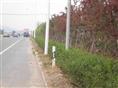 在建绿化工程|辽宁开原绿化工程公司|辽宁铁岭绿化工程公司