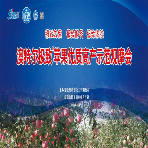 陕西红富士苹果