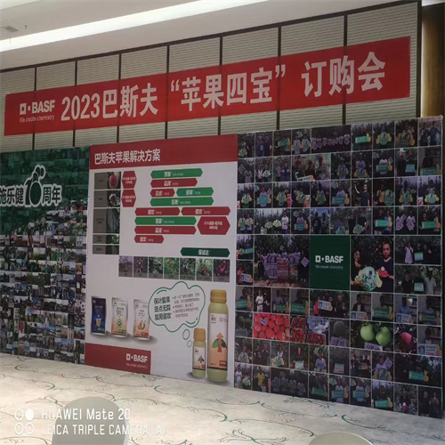秦冠苹果