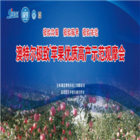 陕西红富士苹果