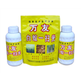 白蚁一扫光 